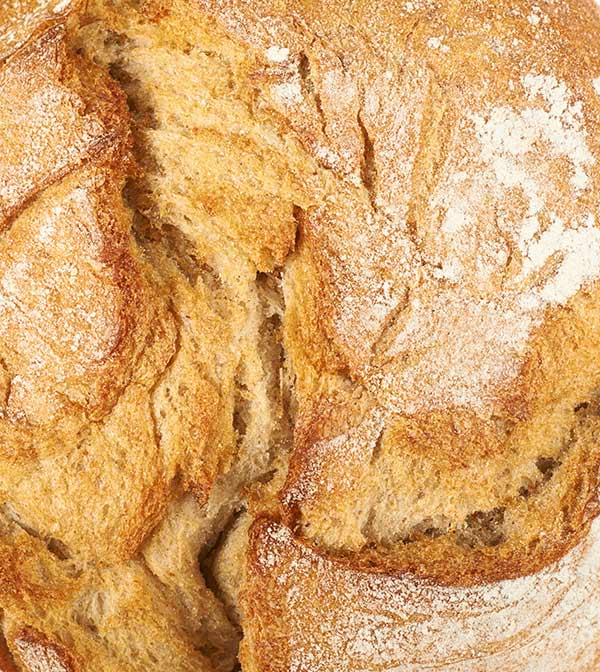 shop-img-1-gallery-1 j