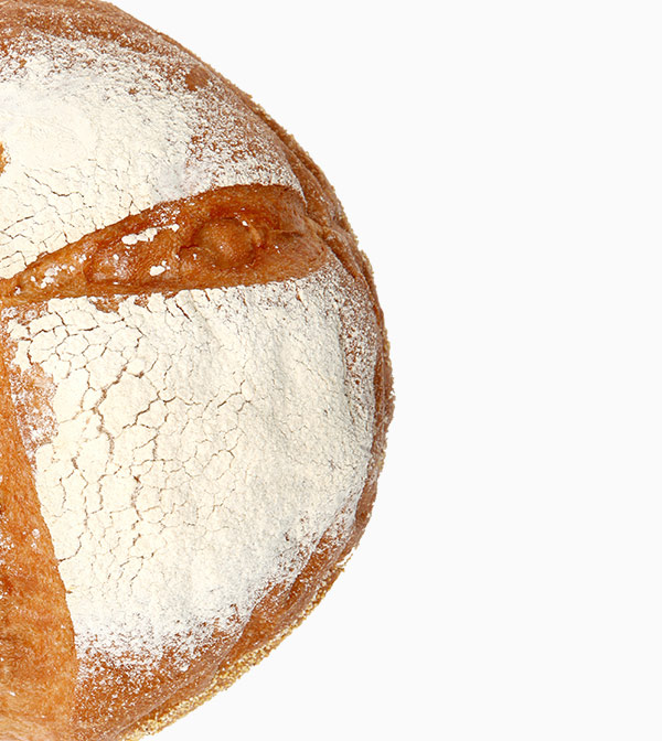 shop-img-10-gallery-2 g