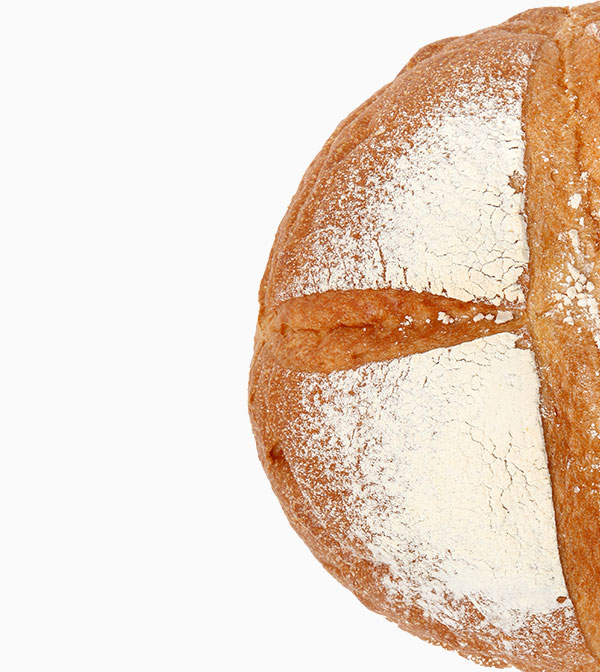 shop-img-10-gallery-3 g