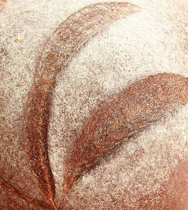 shop-img-8-gallery-1 g